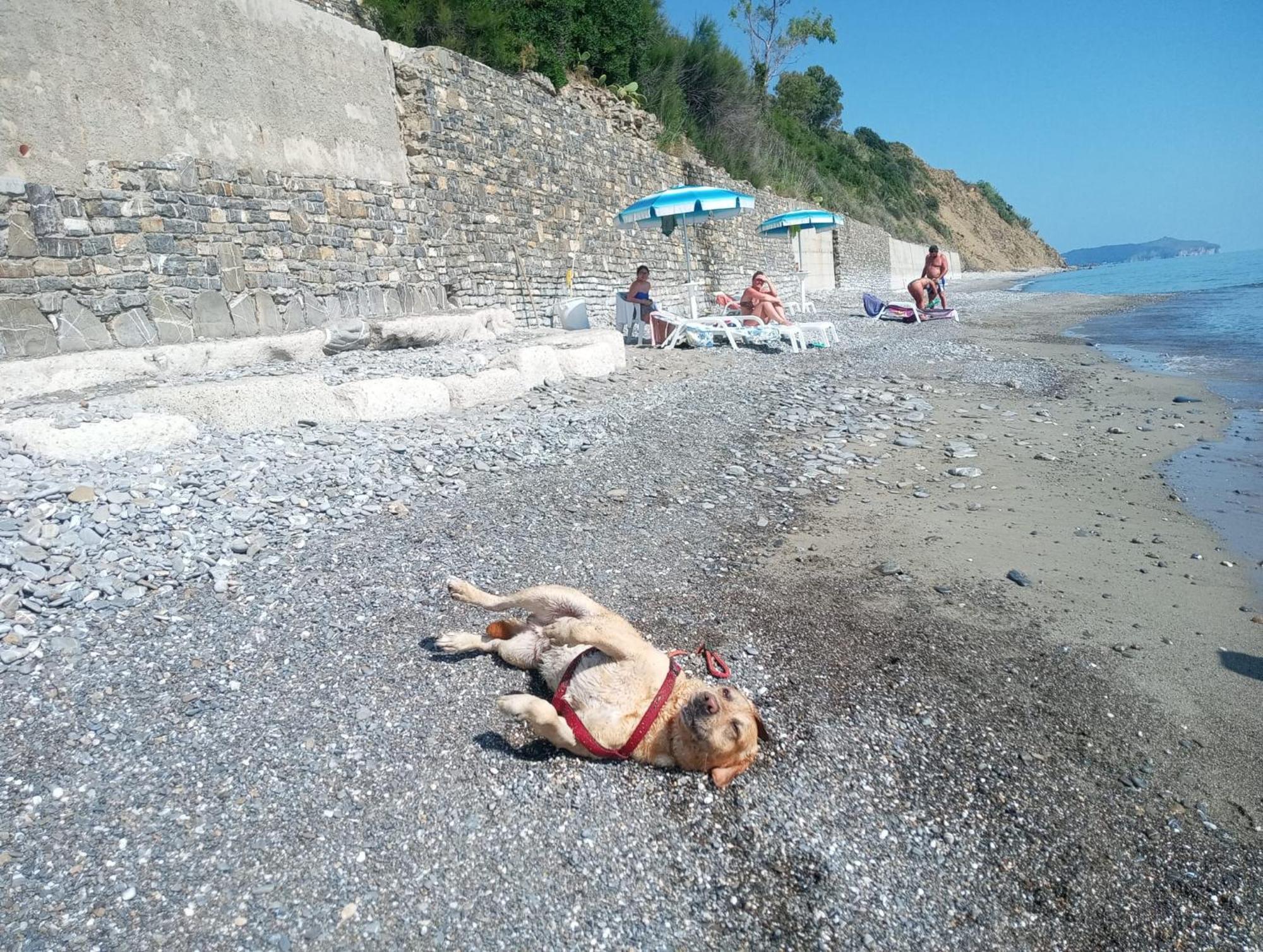 Villaggio La Marée Pisciotta Esterno foto